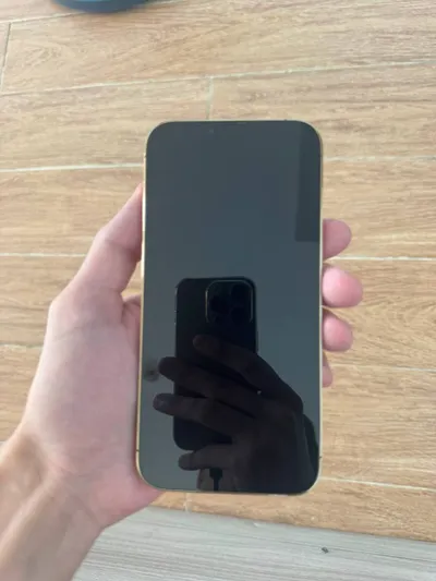 iPhone 13 Pro Max - 완벽한 상태