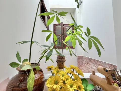 5-Bedroom Villa with Garden in Central Nha Trang – 35 Million VND/Month – 300 m²