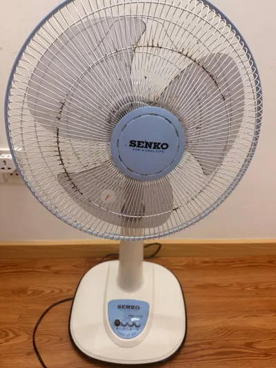 Miscellaneous Items for Sale (Fan, Chairs, Supplies, Sports Gear)