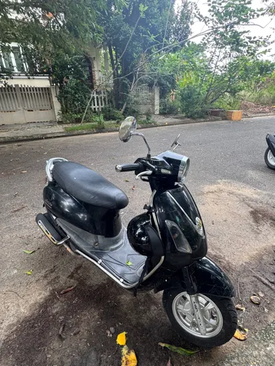 SYM Elizabeth Scooter for Sale - All New Components