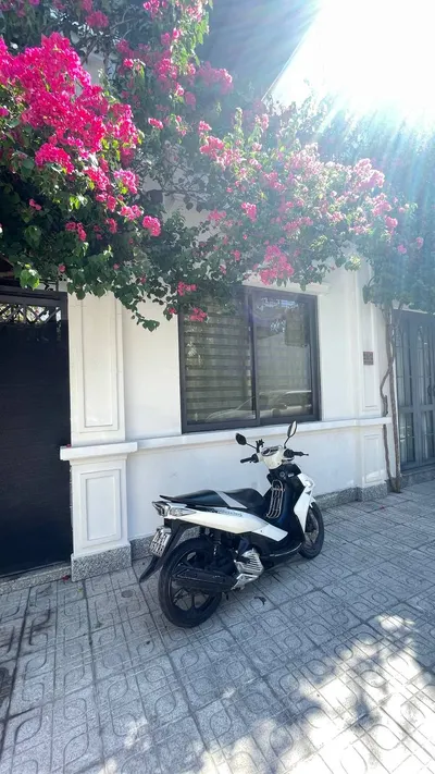 Nouvo 6 (2016) Scooter for Sale