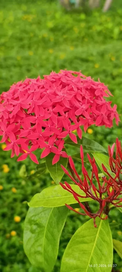 Chương trình Lễ hội Biển được công bố – Bãi biển Trung tâm sẵn sàng, Khu vực Lễ hội Yến sào được chuẩn bị