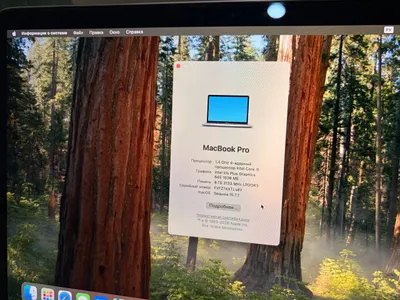 MacBook Pro 13" (2019) bán – Bàn phím tiếng Nga, pin cần bảo dưỡng – 8.500.000 VND