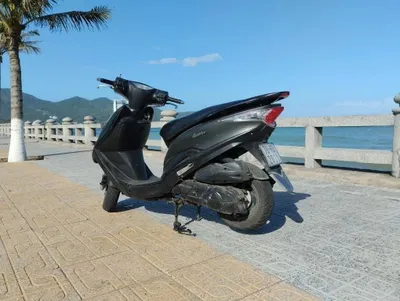Sym Atilla Viktoria – 3M VND