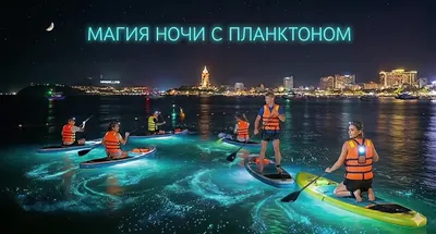 Bioluminescent Plankton Night Tour – SUP & Snorkeling – Nha Trang – 500k VND