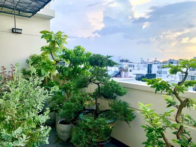 Nhà đẹp 2 phòng ngủ cho thuê – Khu vực VCN Phước Hải – Hoàn toàn có nội thất và thang máy – 25 triệu đồng/tháng