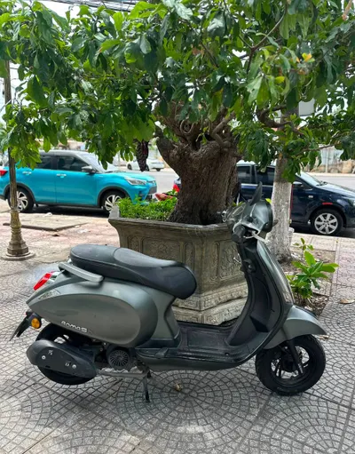 DK Roma SX 50cc – 2022 – 碟刹、LED灯、Blue Card – 880万越南盾
