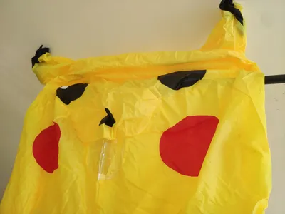 Bộ sưu tập: Dụng cụ, trang phục Pikachu, đàn guitar, mũ bảo hiểm, xe tay ga – Nha Trang phía nam