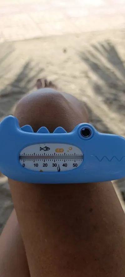 Northern Beach Conditions – August 13, 2026: 30°C Air, 29°C Water, 2m Visibility