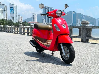나짱 스쿠터 판매 - SYM Elizabeth, Yamaha Nouvo 5, Suzuki Impulse - 500만-1150만 동