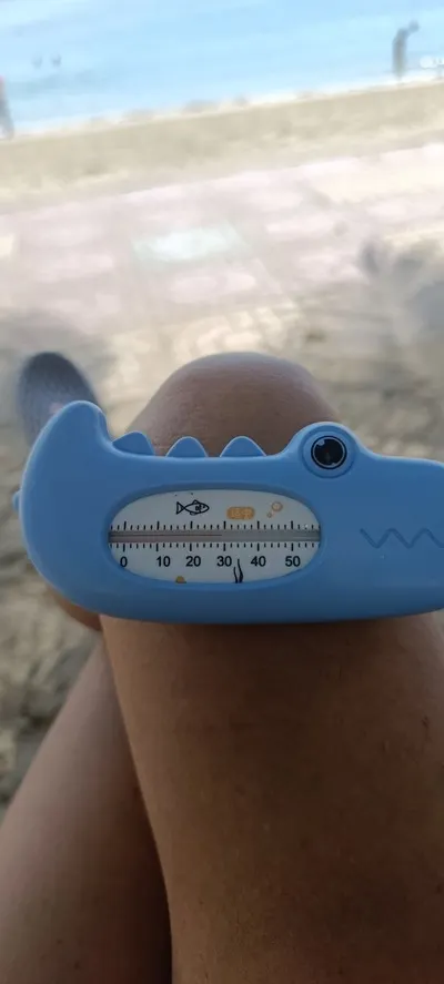 Beach & Water Conditions Report – North Beach, August 16
