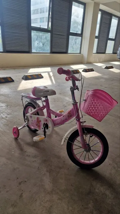 Bulk Sale: Children's Bike, Kitchen Equipment & Blender