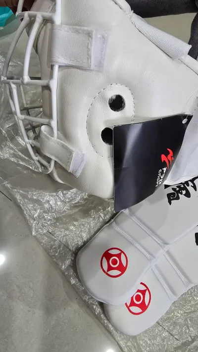新运动头盔和腿部护具 Ray Sport