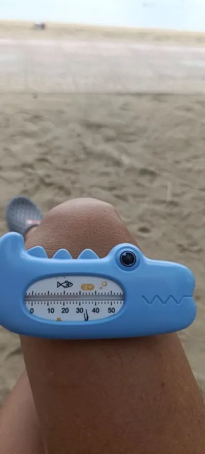 North Beach: Temperature & Water Visibility Report