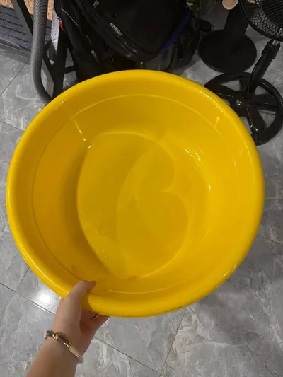 Chậu lớn – 50,000 VND