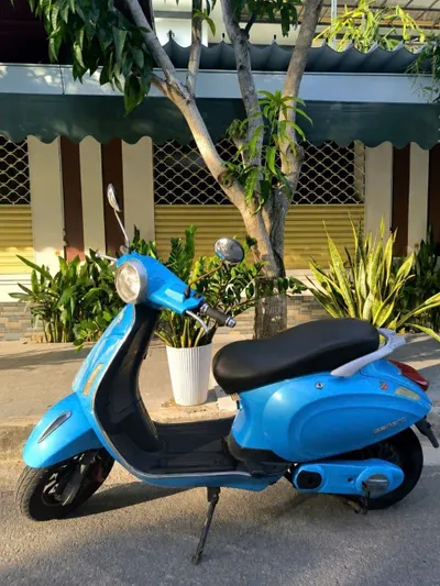 电动自行车 (e-bike) – 45 km/h，新电池和轮胎 – 700 万越南盾