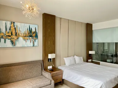 Studio Apartment in Panorama Complex – 12.5M VND/month, City Centre