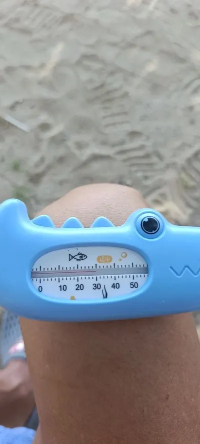 Beach & Water Conditions Report – North Beach, August 25