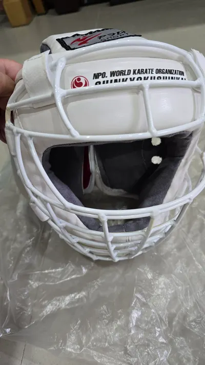 新运动头盔和腿部护具 Ray Sport