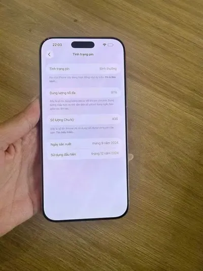 iPhone 15 Pro Max 256GB