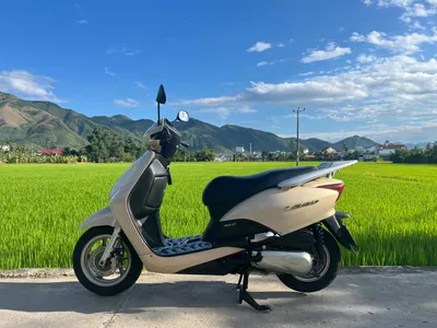 Honda Lead 110 Scooter – Fuel-Injected, Well-Maintained