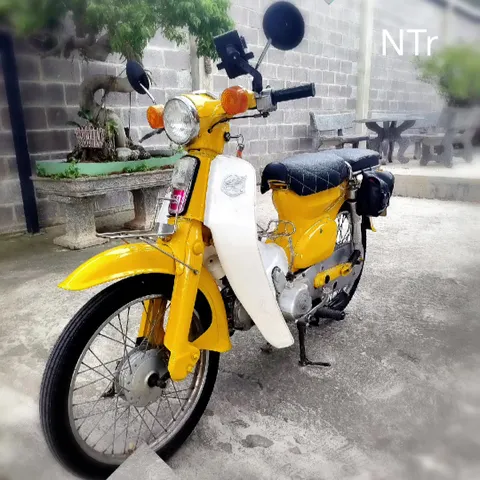 Honda Cub 50cc Scooter Rental – Modified to 100cc – 70,000 VND/Day for Long-Term