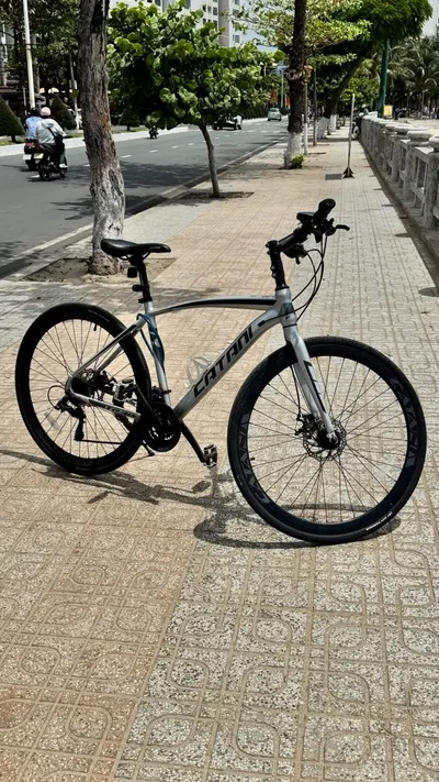Catani 公路自行车出售 – 26英寸铝合金车架，21速，Shimano机械制动 – 250万越南盾