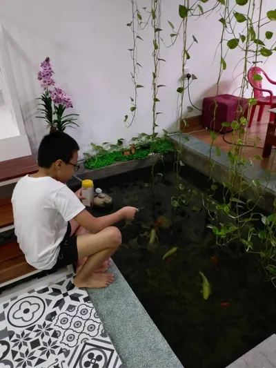 出租3卧室房屋带花园 – 芽庄北部，1600万越南盾/月
