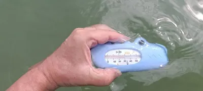 North Beach: Temperature & Water Visibility Report