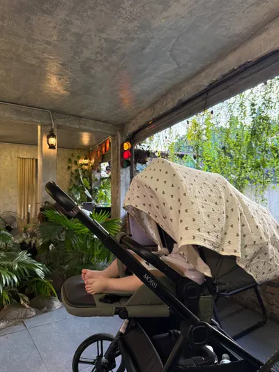 Rant Moss Reversible Baby Stroller – Excellent Condition – 3 Million VND