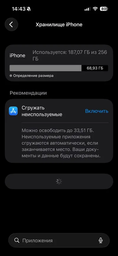 iPhone 15 Pro 256GB Black Titanium – треснуто заднее стекло