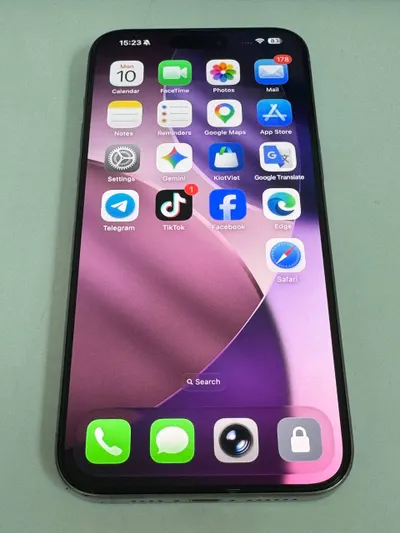 iPhone 15 Pro Max 256GB 钛金色 – 维修后壳，完美工作状态