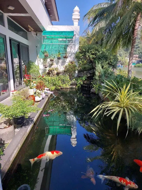 3-Bedroom Villa on Champa Street – 320 m², 50M VND/Month, Pool & Gym