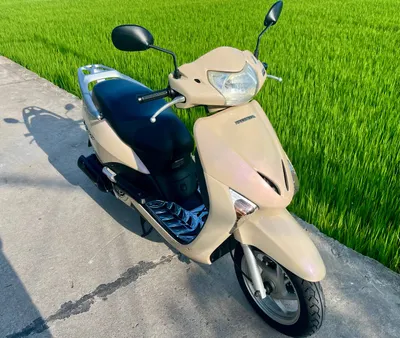 Honda Lead 110 Injector Scooter – 12M VND