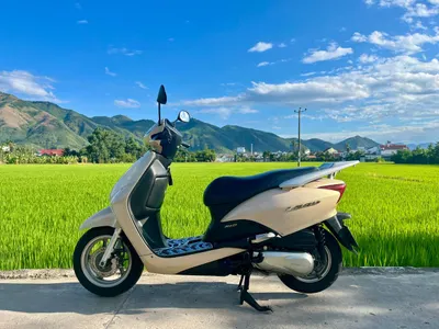 Honda Lead 110 Injector Scooter – 12M VND