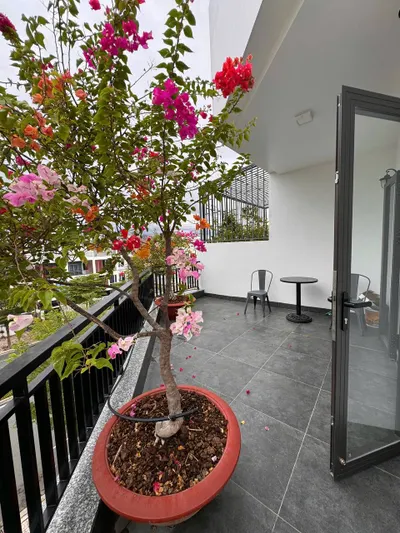 Studio Apartment for Rent – South Nha Trang – 7.5 Million VND/Month
