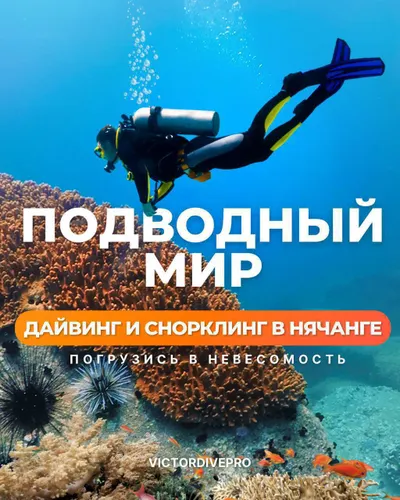 Personal Diving & Snorkeling Tours in Nha Trang
