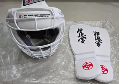 新运动头盔和腿部护具 Ray Sport