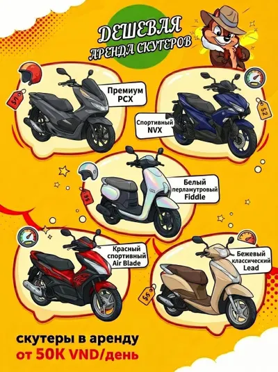 Yamaha, Honda Scooter Rental – Daily & Monthly Rates
