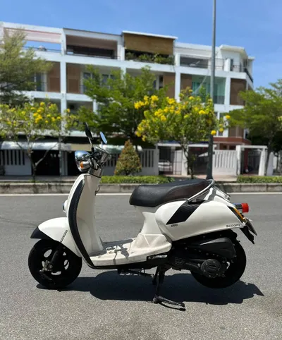 Honda Crea Scoopy 50cc Scooter – 2019