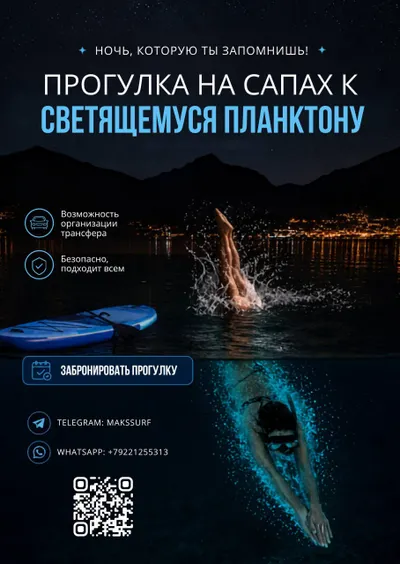 Bioluminescent Plankton Night SUP Tour with Stars