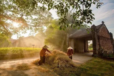 Dạy kèm tiếng Việt – Lớp học trực tiếp tại Nha Trang