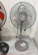 ASIA Floor Fan – 3 Speeds, Adjustable Height – 350,000 VND
