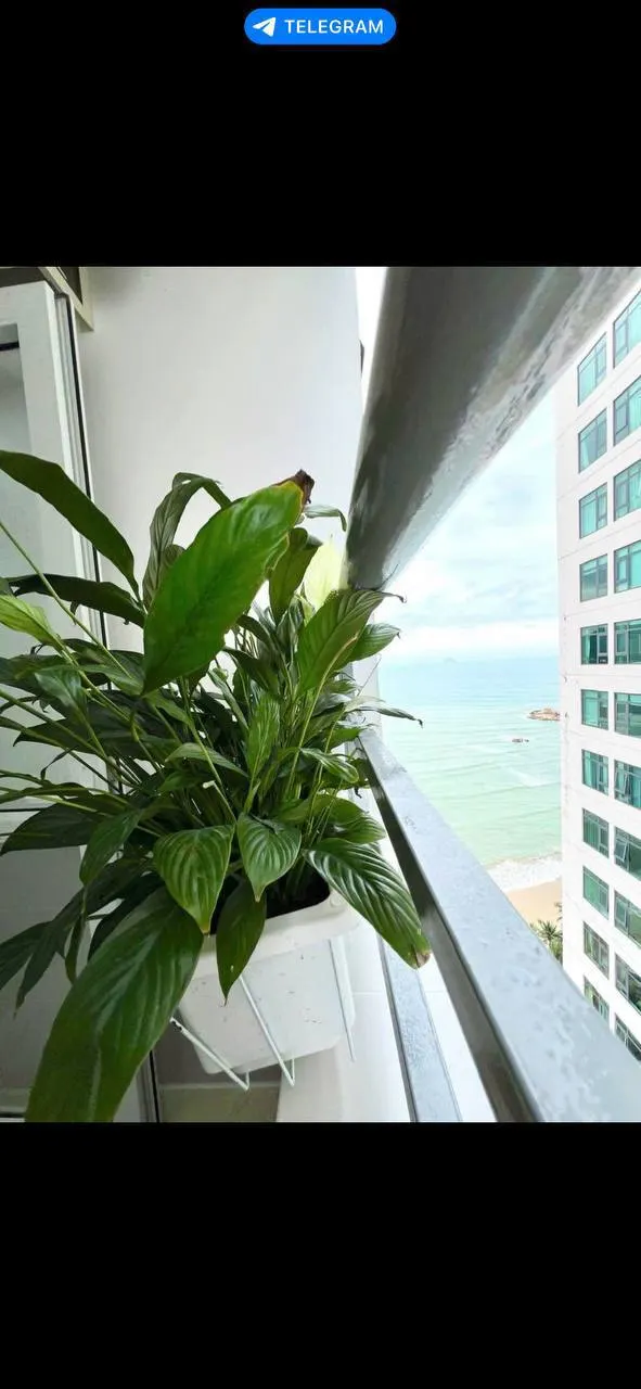 2-bedroom apartment for rent, HUD Phuoc Long, 65 m² — 5/5