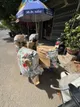 50cc motorbikes for sale, 80+ models in stock