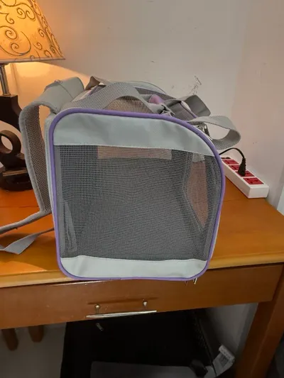 Pet carrier for sale, 350K VND
