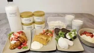 Homemade fermented dairy and frozen semi-finished foods delivery