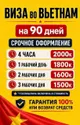 Vietnam 90-day e-visa service