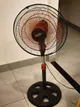 Powerful fan for sale, 150,000 VND