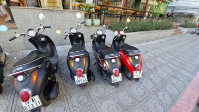SYM Elite 50 scooters for sale